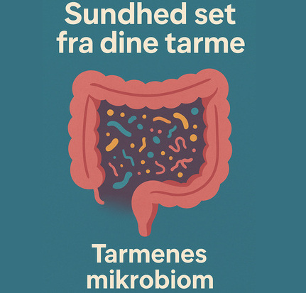 Tarmenes Mikrobiom431x413